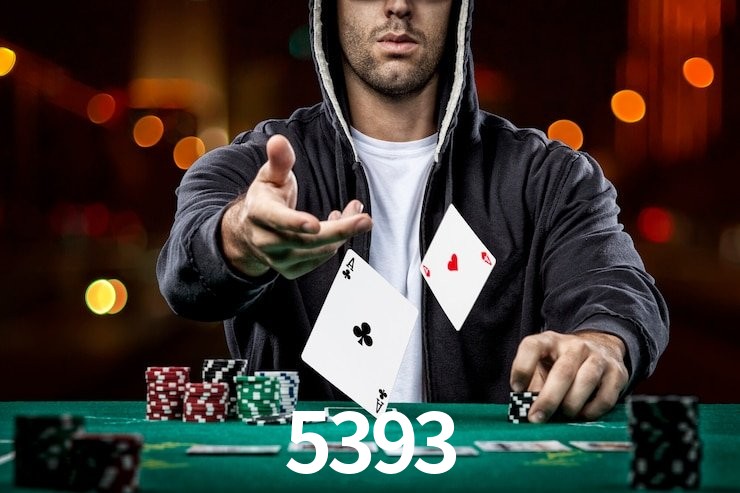 5393,5393.com
